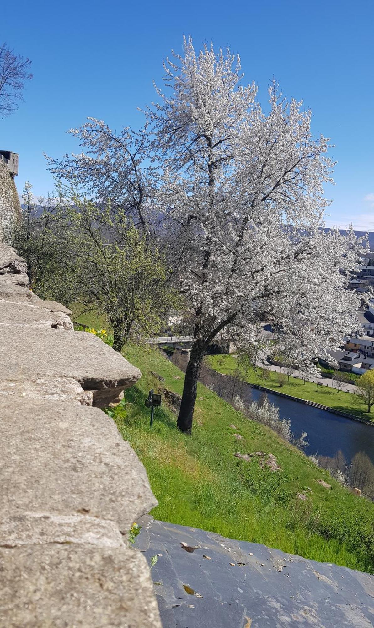 Вілла La Artesonada Casa Con Finca Пуебла-де-Санабрія Екстер'єр фото